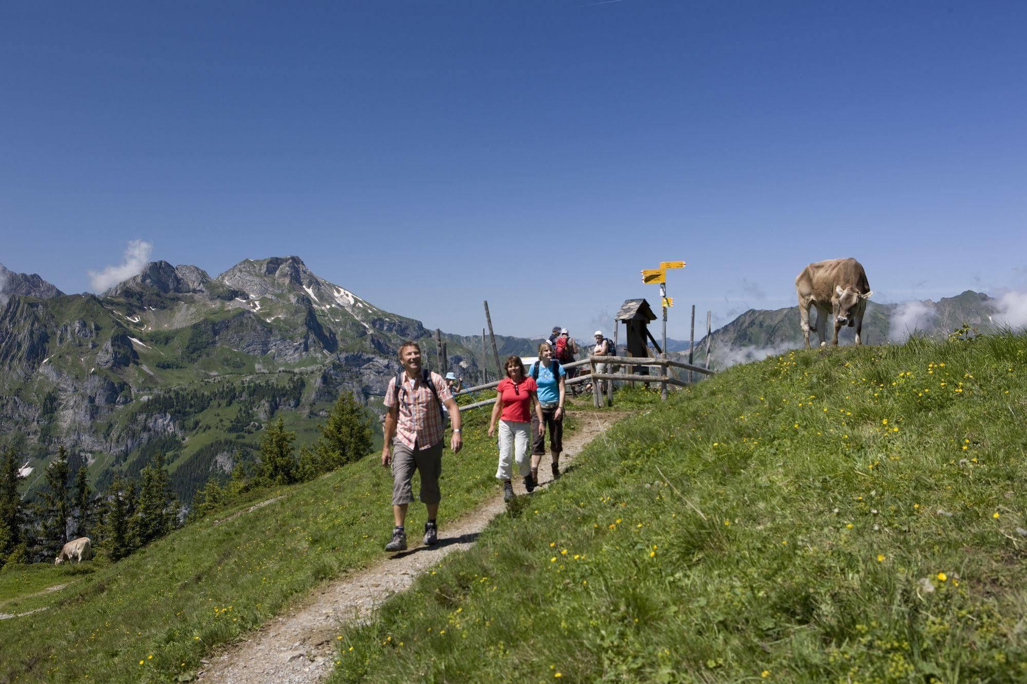 Berglodge Restaurant Ristis Engelberg Exterior foto